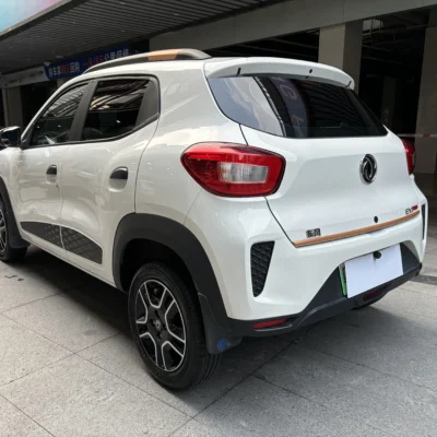 Dong Feng EX1 Pro Year 2022 Yuexiang Edition White