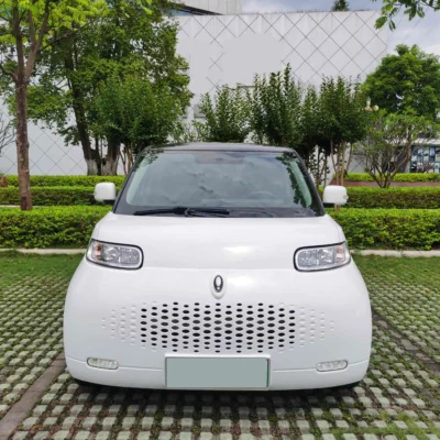 Ora White Cat 2022 Updated Edition 305km Deluxe Edition