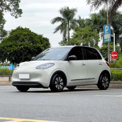 Wuling Bingo 2023 Lingxi Interconnected Edition 333km